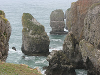 Elegug Stacks