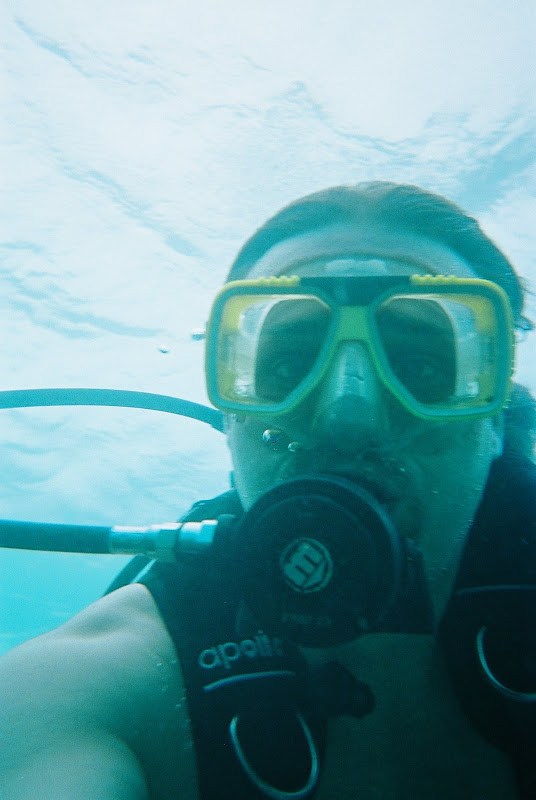 Diving on the great barrier reef