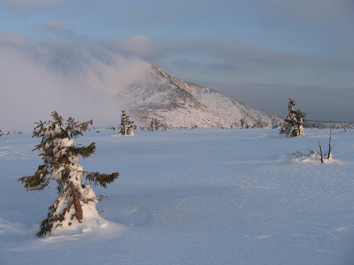 Śnieżka